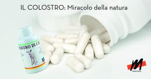 colostro