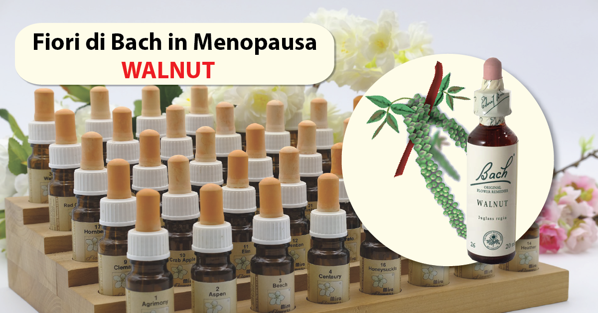 Walnut: Fiori di Bach in Menopausa