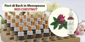 RED CHESTNUT
