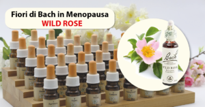 Wild Rose fiori di Bach in menopausa