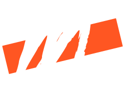 logo 250x180 bianco-01